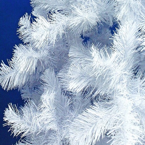 store_apendix_big154803_60379