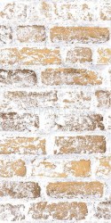 no615-1-gratsiya-kompanon_250x250