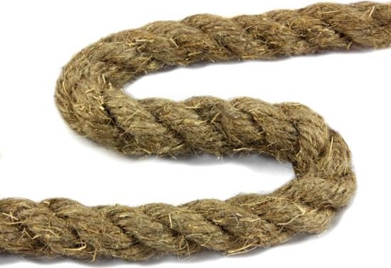 landing-d9acf98aef2a070ce77757d19e4480985491