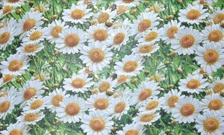 110