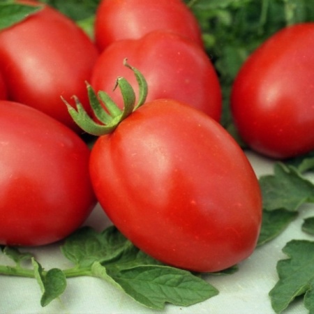 1f4f2011_be30_11e7_8477_9c5c8ebecd88_ad6a874f_2e96_11e9_879e_7824afbc889b.resize2