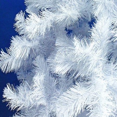 store_apendix_big154803_60379