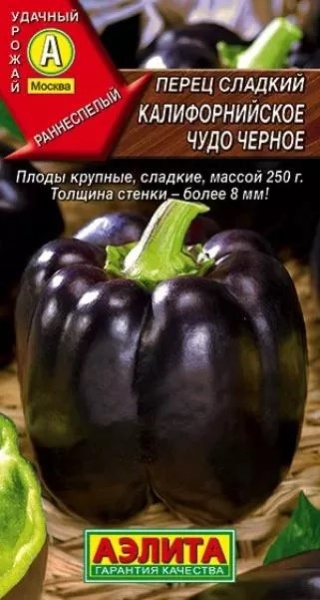 5c015pzg6sl8rc3xu064iennpypo4z5n