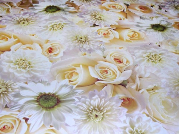 shop_property_file_40743_1385