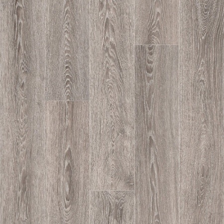 indian_oak_5_906d