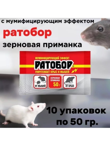 1 (6)