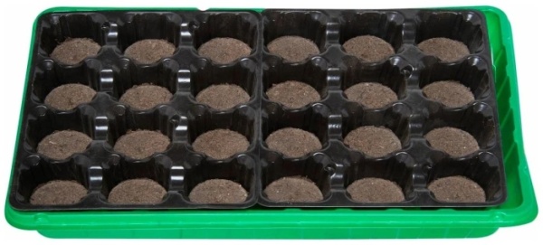 orig - 2026-02-11T143526.538