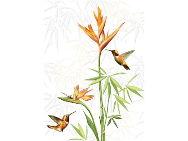 dekor_ju2m052_jungle_belyy_25x35_cersanit_410